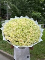 Букет из 151 белых роз