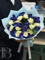 Северное сияние