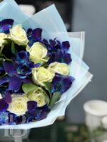Северное сияние