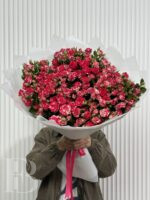 Файрфокс 29