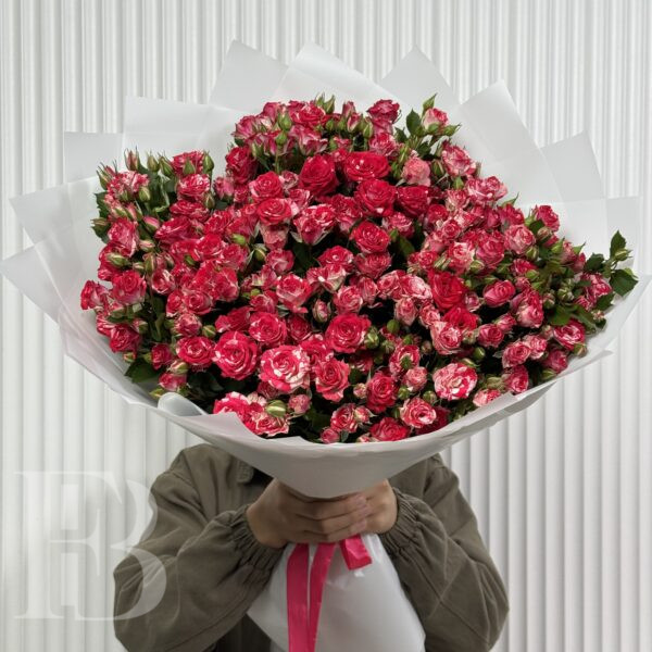 Файрфокс 29