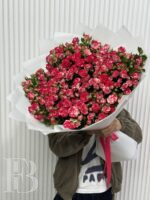 Файрфокс 29