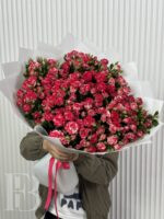 Файрфокс 29