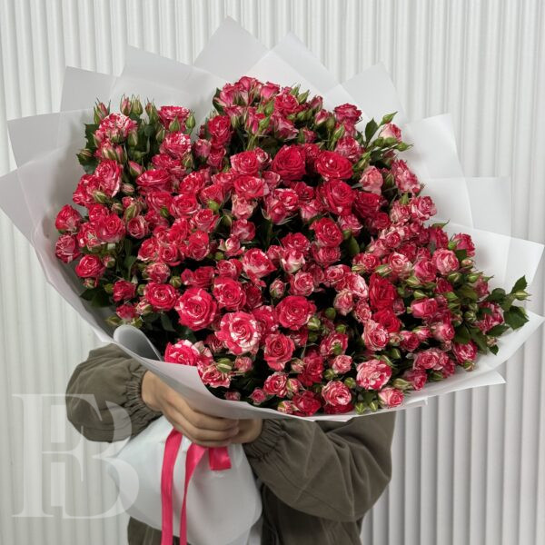 Файрфокс 29